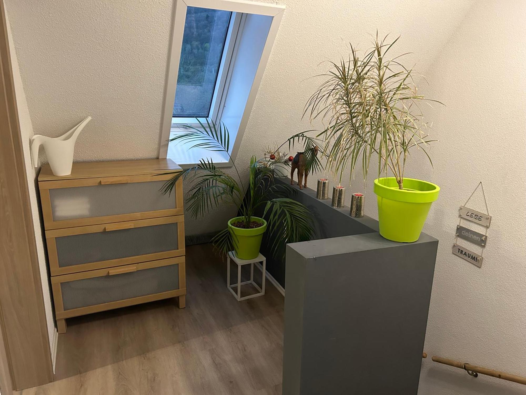 Ferienhaus Ayna, Direkt An Der Schweizer Grenze Bad Säckingen Dış mekan fotoğraf